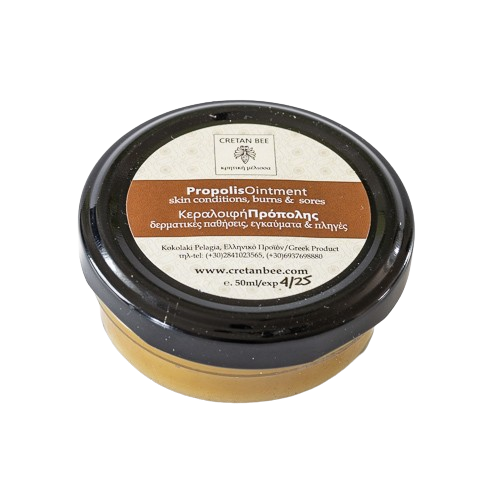 Propolis Ointment for skin conditions Propolis Ointment for skin conditions