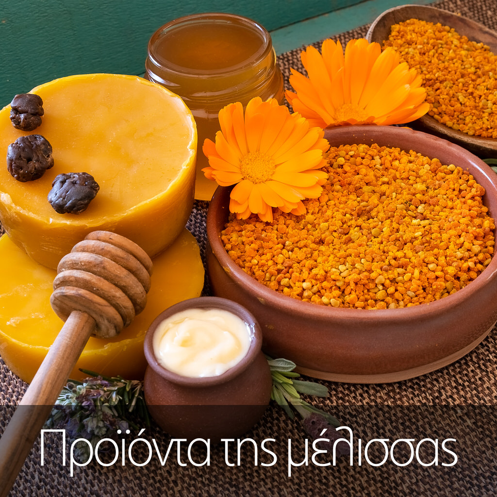 Προϊόντα της μέλισσας