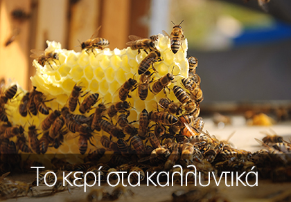 Γιατί κερί μέλισσας στα καλλυντικά